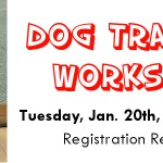 dog training workshop