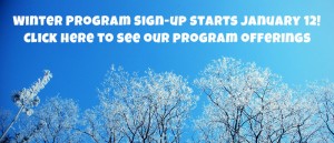 children's winter programs 15 sign up now!