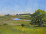 Essex Marsh by Mary Hayes of the Wellesley Society of Artists. On display at the Morse Institute Library June 2015