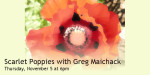 Scarlet Poppies with Greg Maichack Thu Nov 5 at 6pm