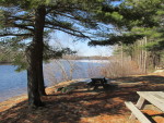 Get out and explore the Massachusetts State Parks with the Morse Institute Library!